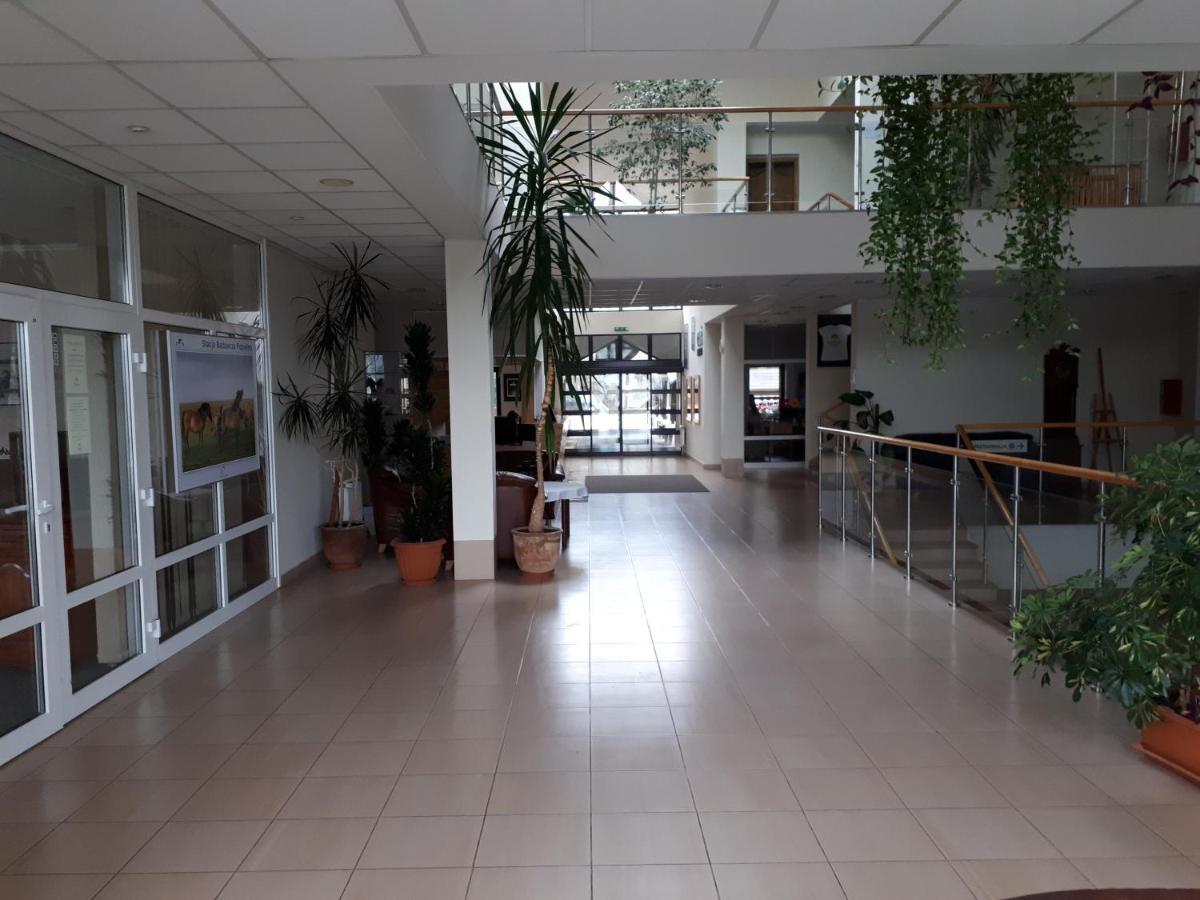 Pan Dom Pracy Tworczej W Wierzbie *